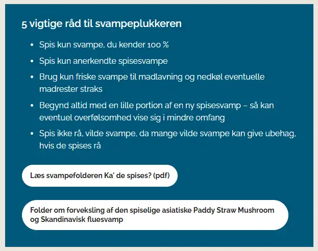 Bl&aring; faktaboks til svampesamlere med fem gode r&aring;d